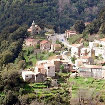 Auberge De Jeunesse Chez Mc Donald Zevaco Luaran gambar